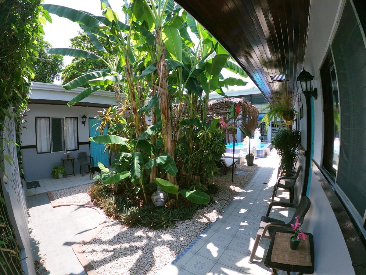 Hotel Perico Azul & Surf Camp جاكو المظهر الخارجي الصورة